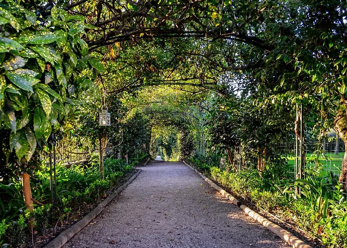 Solar De Vilar Casa de hóspedes *